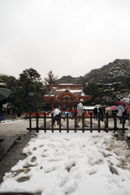 PHOTO:鶴岡八幡宮