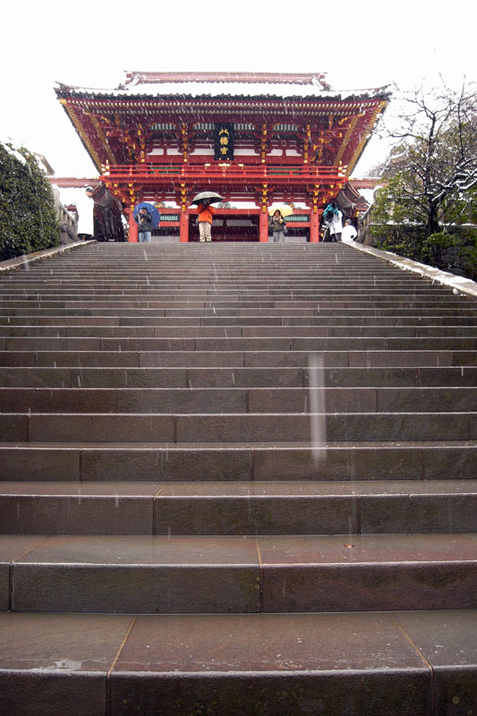 PHOTO:鶴岡八幡宮