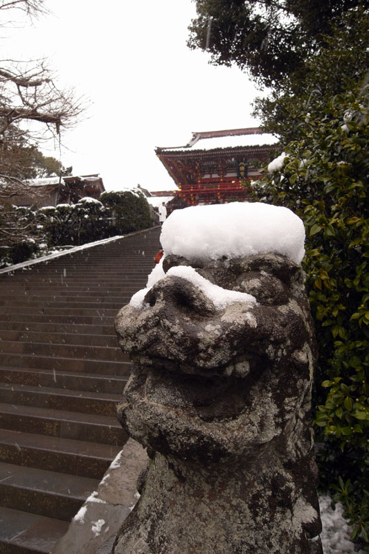 PHOTO:鶴岡八幡宮