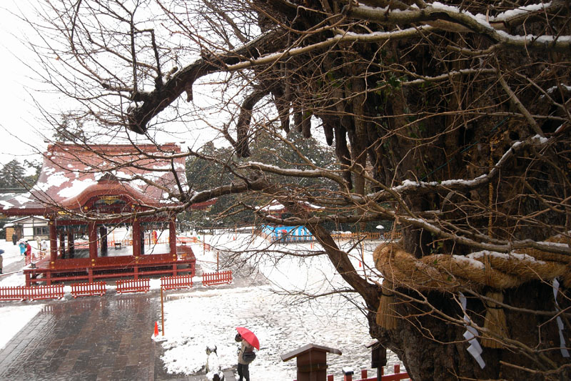 PHOTO:鶴岡八幡宮