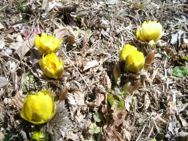 e0025300_123815.jpg