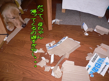 d0080601_11154264.jpg
