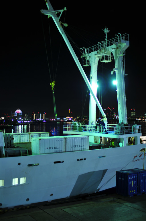 d0119505_15392969.jpg