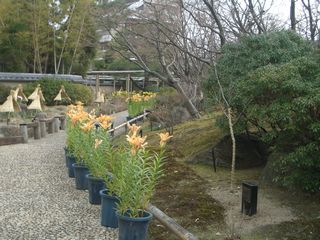b0061107_16351761.jpg