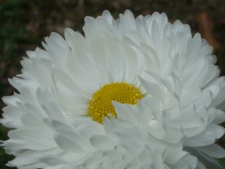 b0061107_2337944.jpg