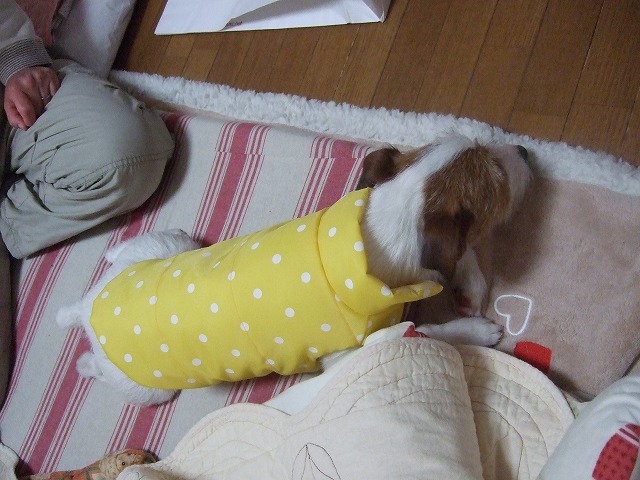 c0127617_22303098.jpg