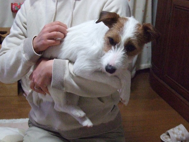 c0127617_2236963.jpg