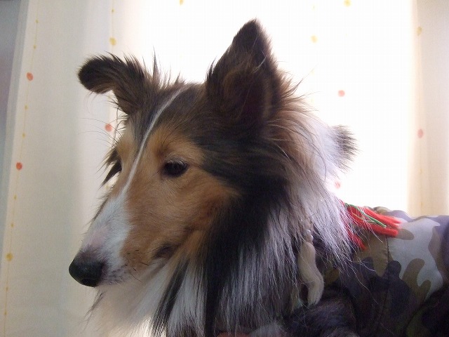 c0127617_2319712.jpg