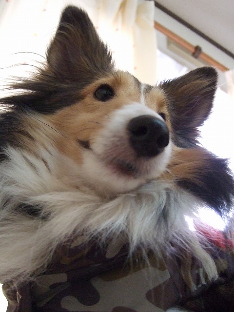 c0127617_23224772.jpg