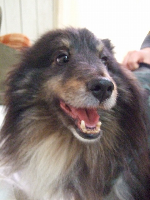 c0127617_2323487.jpg