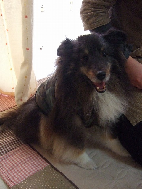 c0127617_23254977.jpg