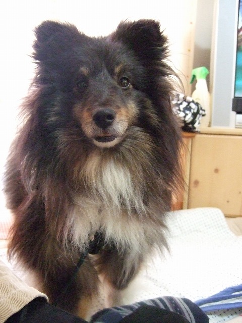 c0127617_232781.jpg