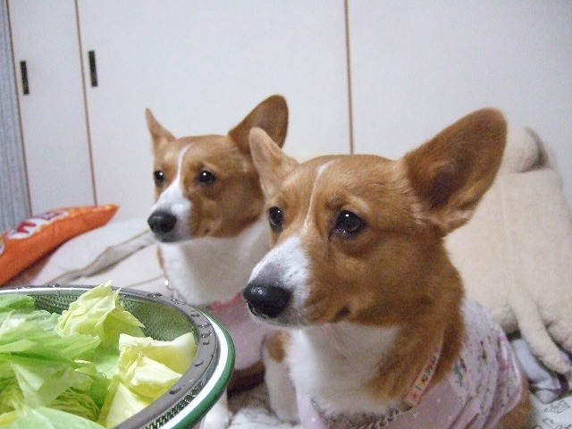 c0127617_2353552.jpg
