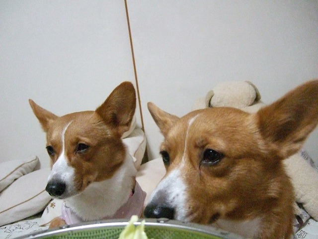 c0127617_23551648.jpg