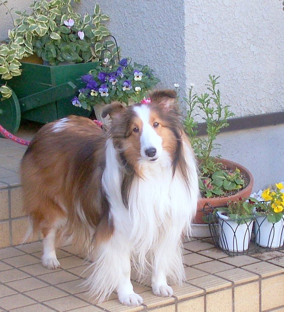 a0053420_2229143.jpg