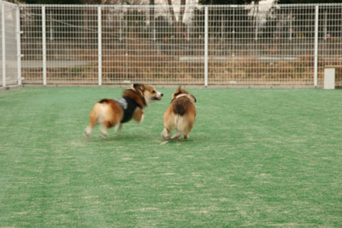 e0071225_23174298.jpg