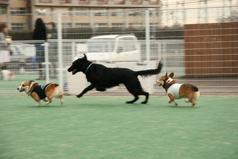 e0071225_2344448.jpg