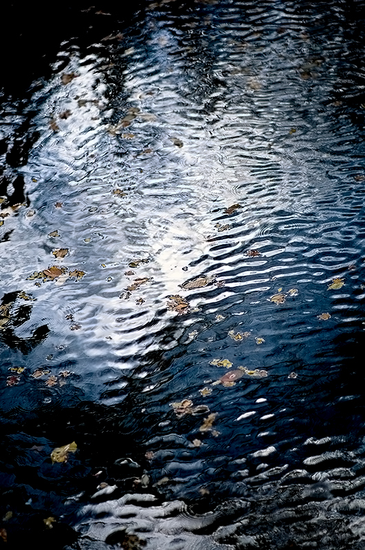 c0126428_10305279.jpg
