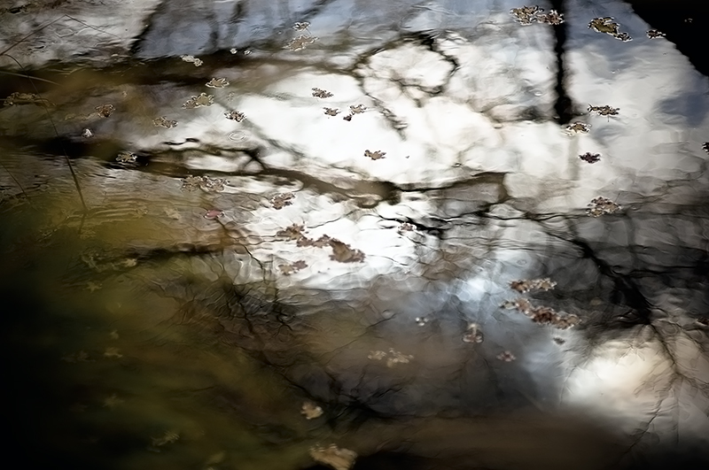 c0126428_10311613.jpg