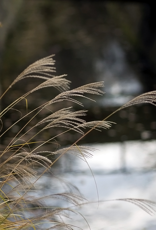 c0126428_10314350.jpg