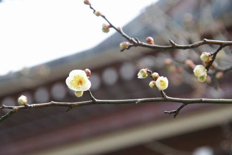 b0117437_1701622.jpg