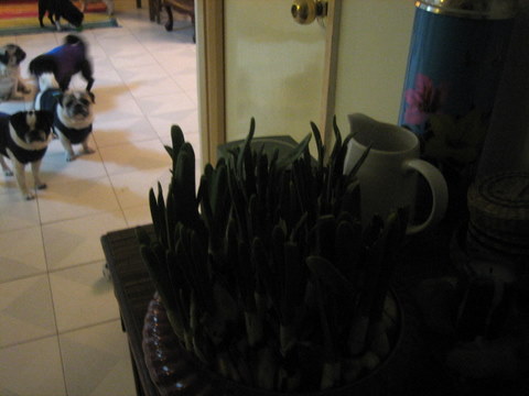 e0018143_2463927.jpg