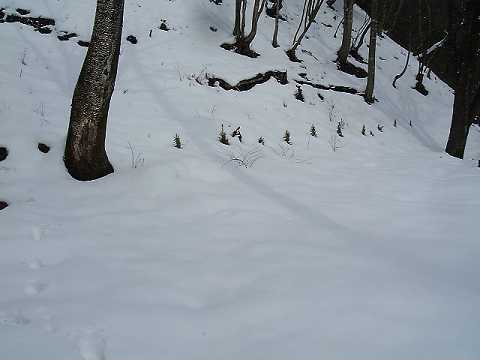 f0090444_21581341.jpg