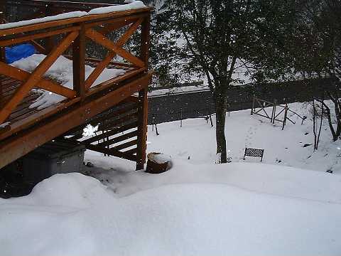 f0090444_221378.jpg