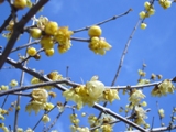 c0122445_1428165.jpg