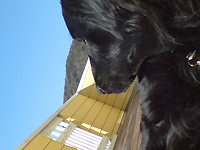 f0095047_1447471.jpg