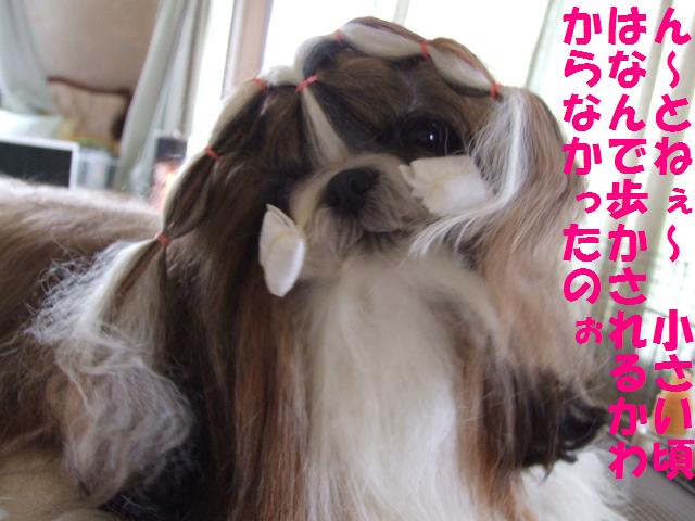 a0091448_2256547.jpg