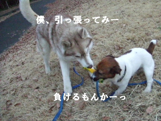 e0121548_15391687.jpg