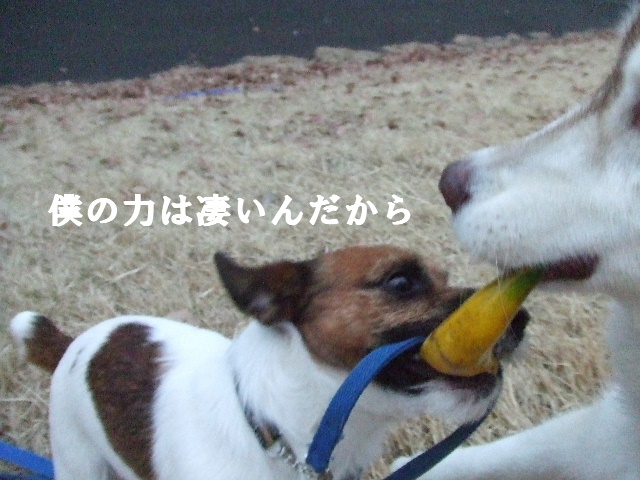 e0121548_15393679.jpg