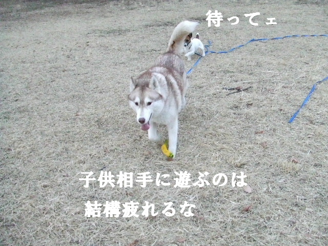 e0121548_15433152.jpg