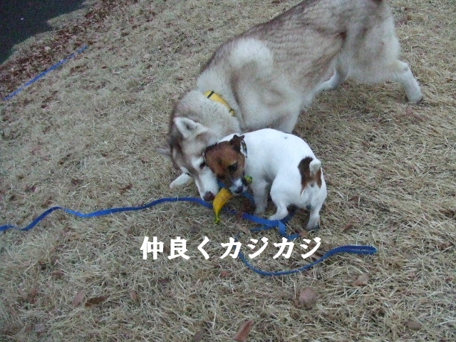e0121548_21102768.jpg
