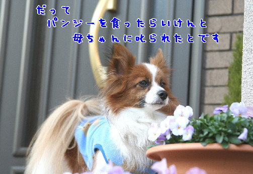 d0013149_7375514.jpg