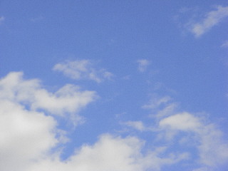 d0013149_7492918.jpg
