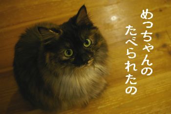 e0019550_013652.jpg