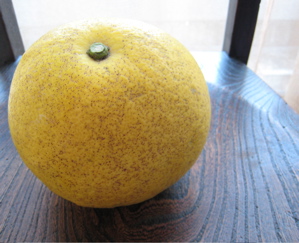 c0153259_16173250.jpg