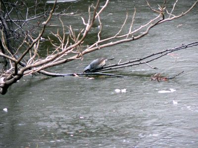 f0086169_11142289.jpg