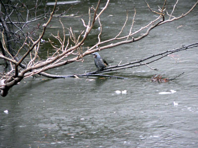 f0086169_11205950.jpg