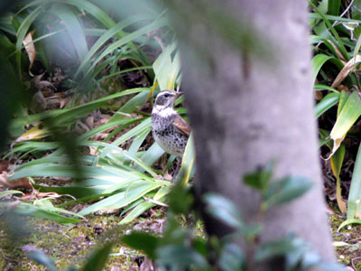 f0086169_11292347.jpg