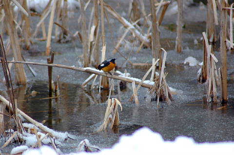 c0022275_15593255.jpg
