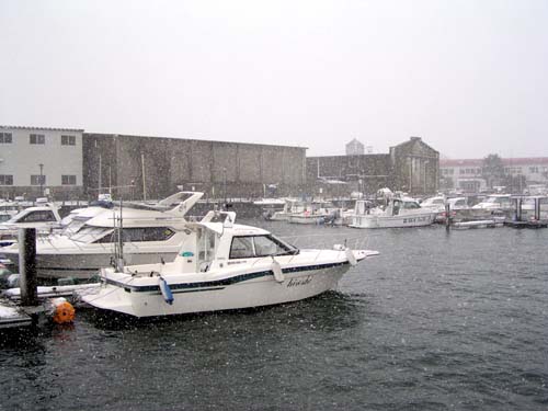 f0092382_34044.jpg