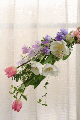 d0100192_1881494.gif
