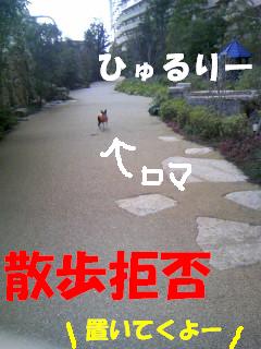 c0092097_13274321.jpg