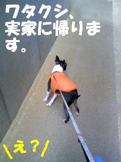 c0092097_13292049.jpg