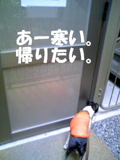 c0092097_13304313.jpg