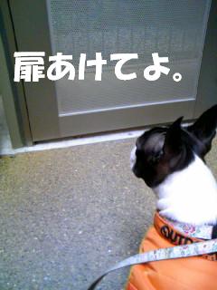 c0092097_1331367.jpg