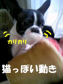 c0092097_13361292.jpg